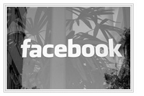 ���������� Facebook ������ ������